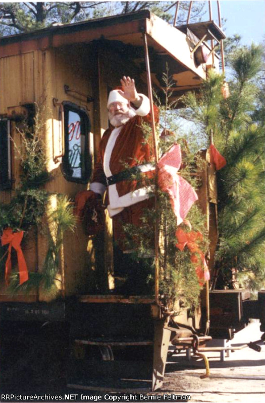 Santa's Christmas Tree resembles the species of Georgia pine trees found trackside 